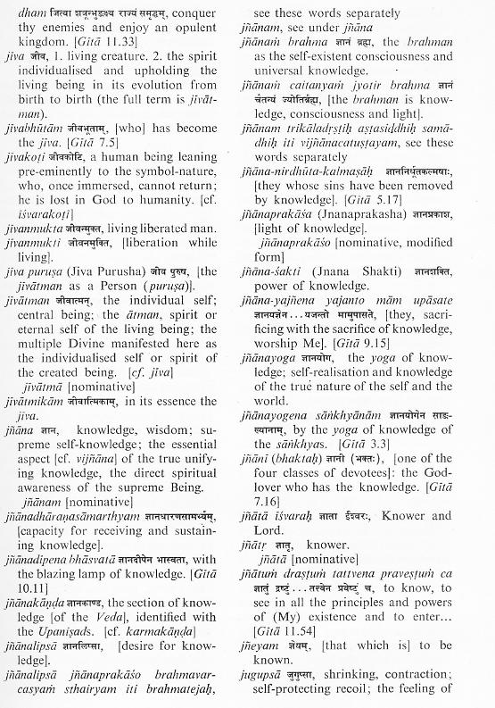 glossary-p.313.jpg