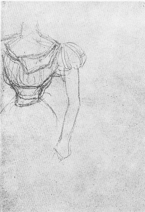 d%20a%20woman%27s%20torso.JP