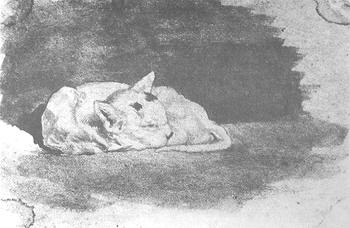 d%20study%20of%20a%20cat.jpg