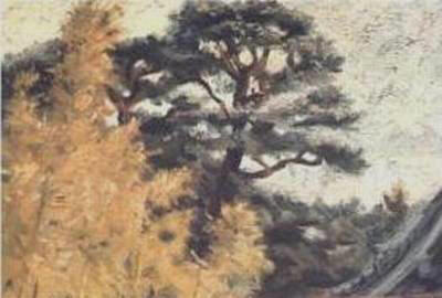 p%20treesof_daiunjitemple%201.JP